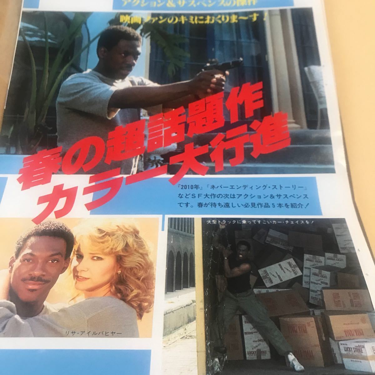 エディマーフィー、イーストウッド、レイノルズ、シュワルツネッガー【ビバリーヒルズ、ターミネイター、シティヒート】SショットBKHYSR999拍卖