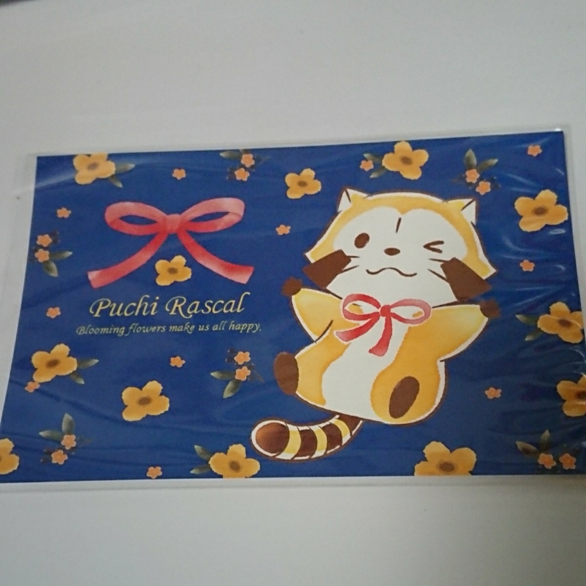 ★あらいぐまラスカル★ラスカルフェア~オレンジフラワーデザイン~★ポストカード☆拍卖