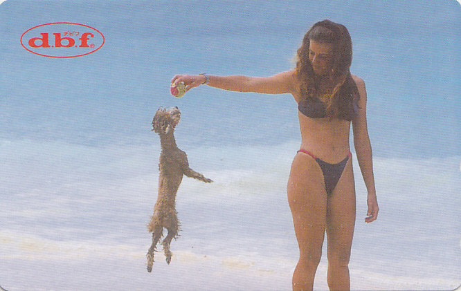 d.b.f./ハイレグビキニ水着 【テレカ】 G.12.11 ★送料最安60円~拍卖