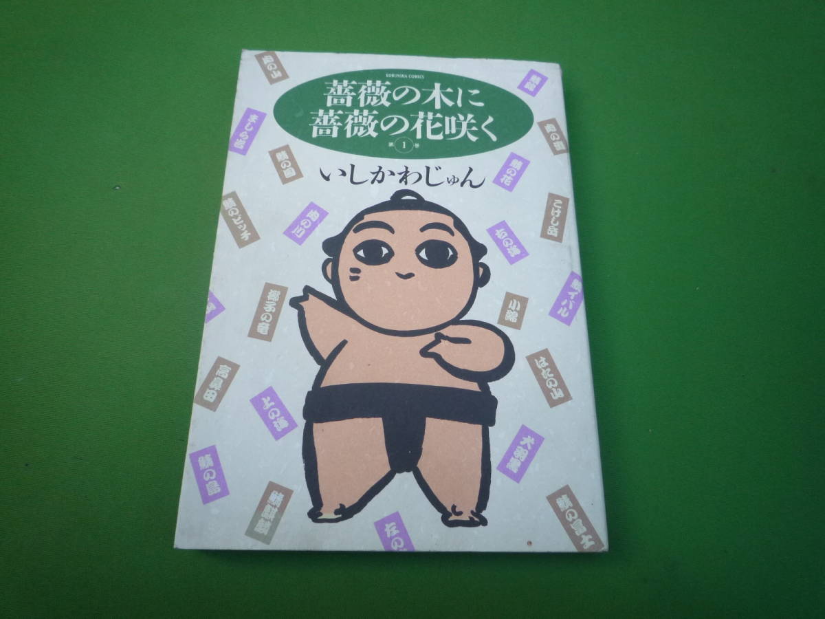 Qi860 薔薇の木に薔薇の花咲く 1 いしかわ じゅん 光文社 初版 ニューウェーブ系作家 ニューウェーブ 拍卖