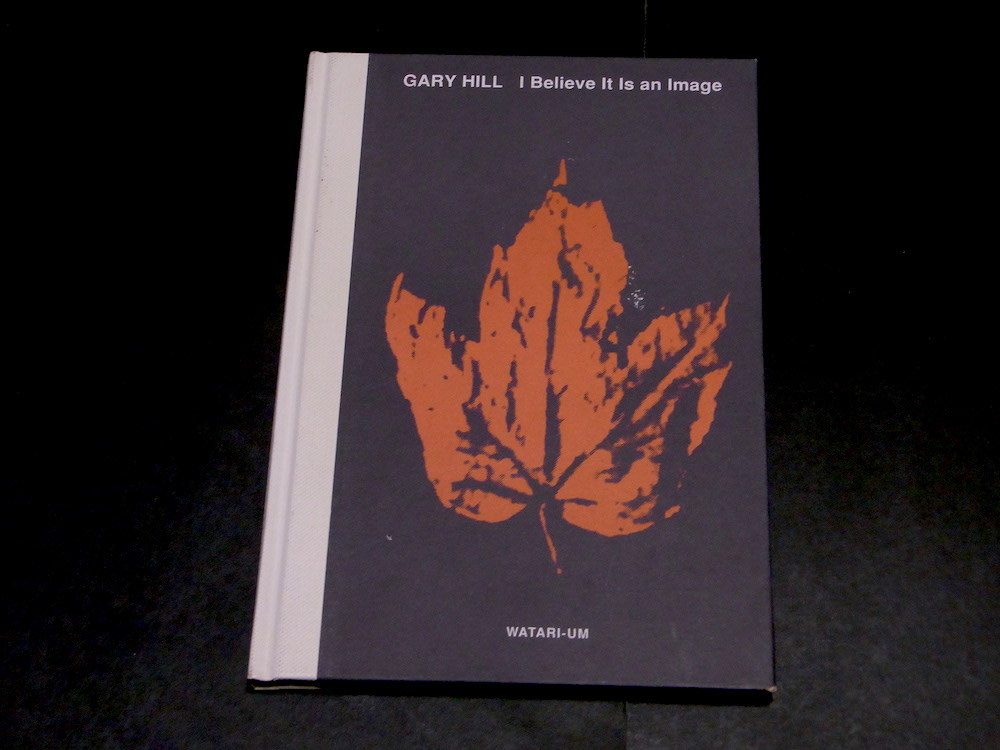 GARY HILL I Blieve It Is an Image ワタリウム美術館 図録 ゲイリー・ヒル ビデオ パフォーマンス インスタレーション 現代美術拍卖