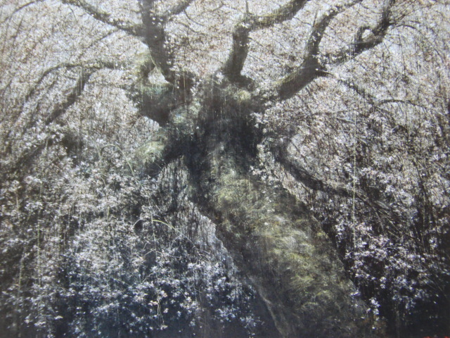 堀 研、【神原枝垂桜】、希少画集画より、状態良好、新品高級額装付、送料無料、日本画 桜 さくら、yoni拍卖