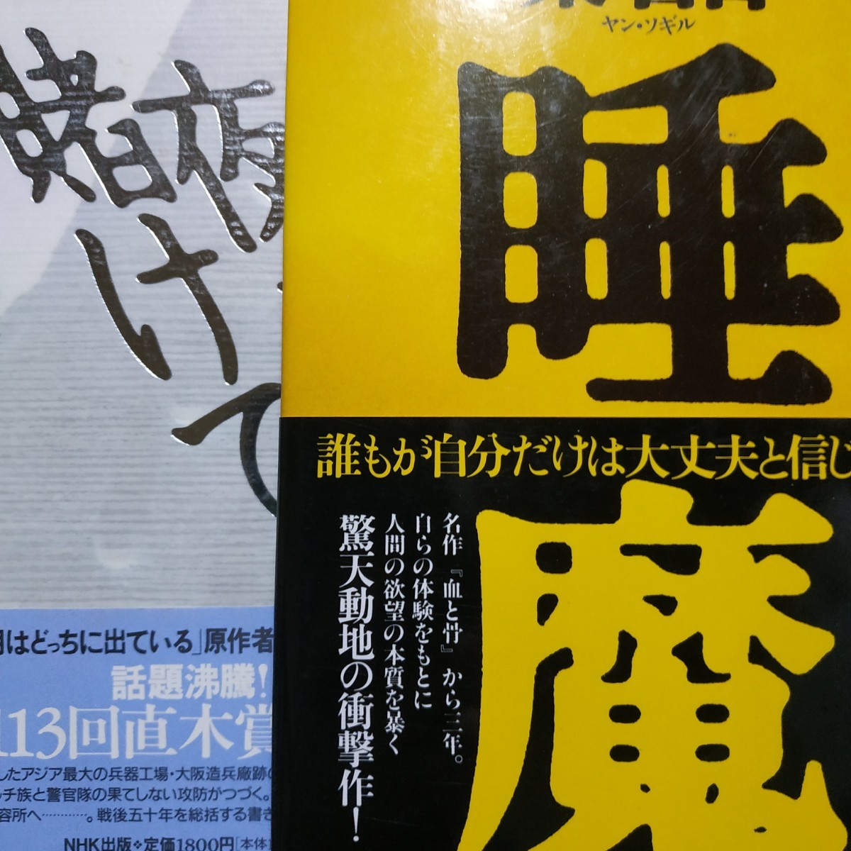 梁石日自伝2冊 夜を賭けて(大阪アパッチ族) 睡魔 送料230円 検索→数冊格安 面白本棚 マルチ商法 mdt拍卖