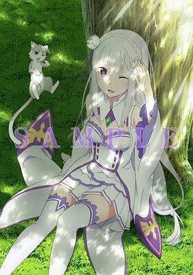 Re:ゼロから始める異世界生活 ゲーマーズ全巻購入特典 防水タペストリー拍卖