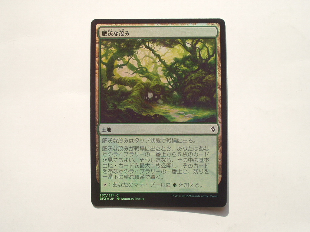 バイン MTG 肥沃な茂み/Fertile Thicket foil 日本語1枚拍卖