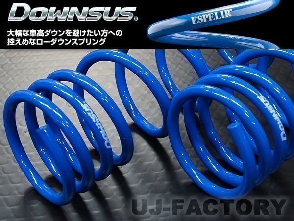 エスペリア ダウンサス / 日産 DAYZ デイズ B44W ※2WD ハイウェイスターXアーバンクロム (R5/9~) N-9061拍卖