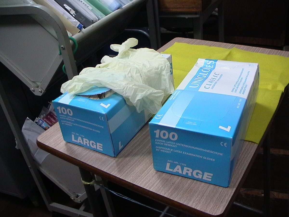 ゴム手袋 Lサイズ ディスポグローブ ドイツ製 100枚入拍卖