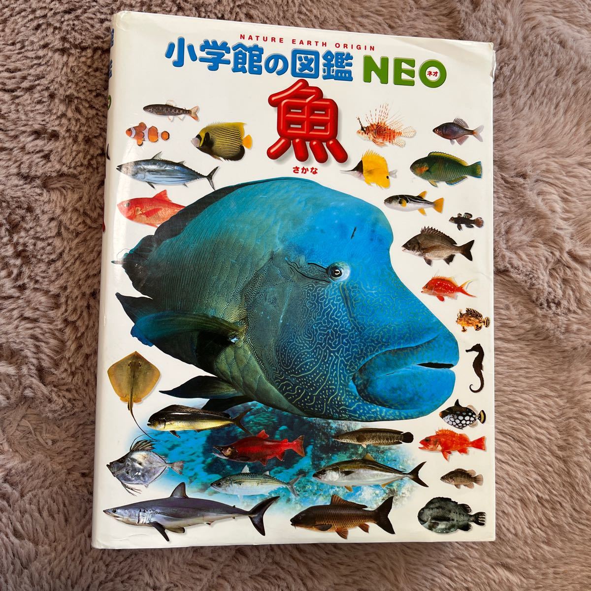 小学館の図鑑 NEO 魚拍卖