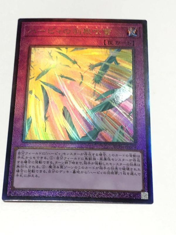 遊戯王 レアリティ コレクション レアコレ 25th アルティメットレア レリーフ ハーピィの羽根吹雪拍卖