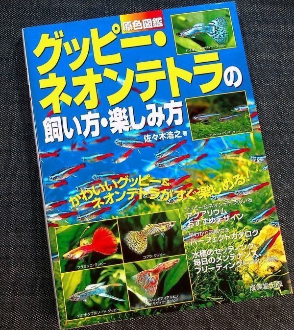 ★美品即納★グッピー・ネオンテトラの飼い方 楽しみ方|原色図鑑&飼育ガイド 種類 水槽レイアウト メンテナンス管理 餌 水草 繁殖 熱帯魚拍卖
