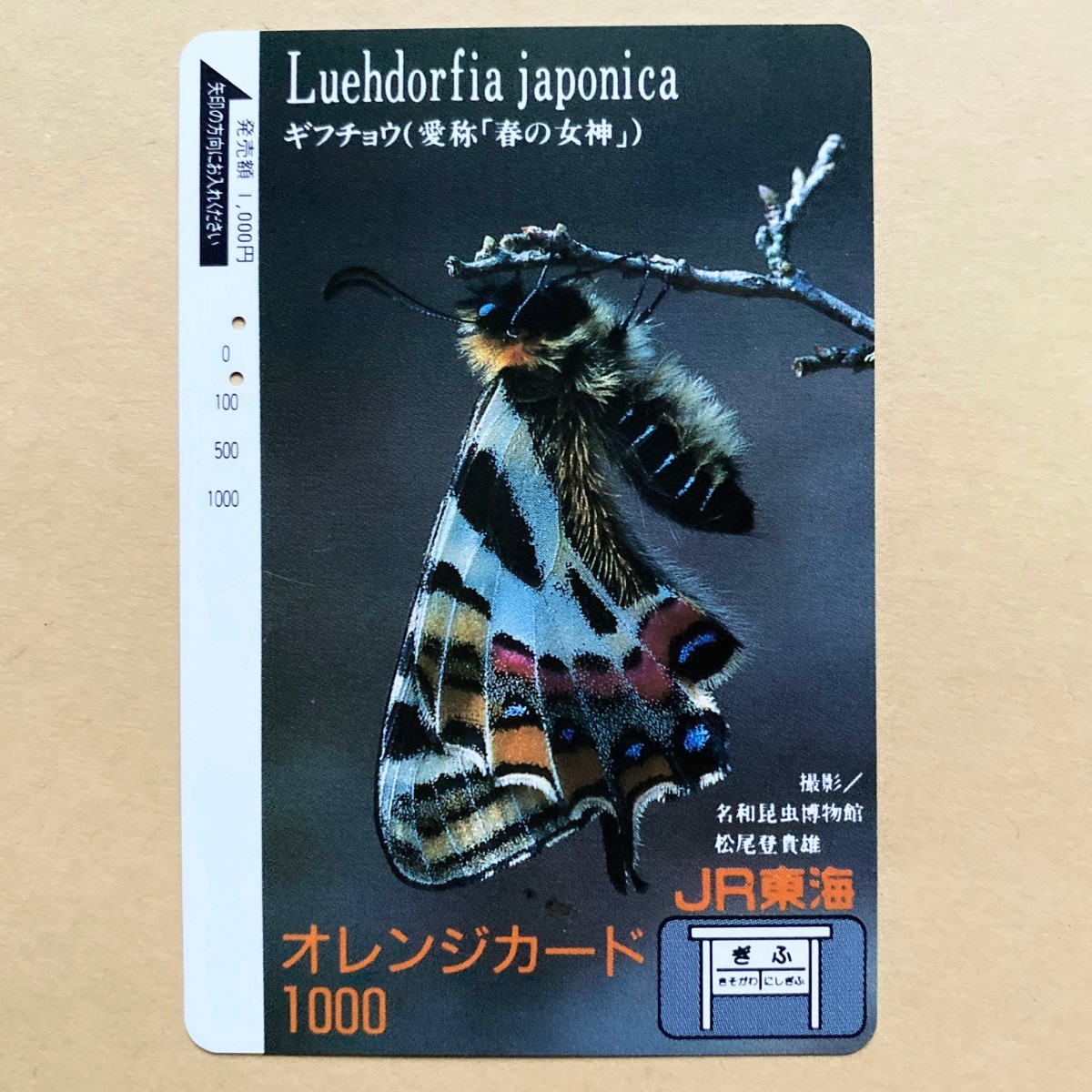 【使用済】 オレンジカード JR東海 ギフチョウ (愛称「春の女神」)拍卖