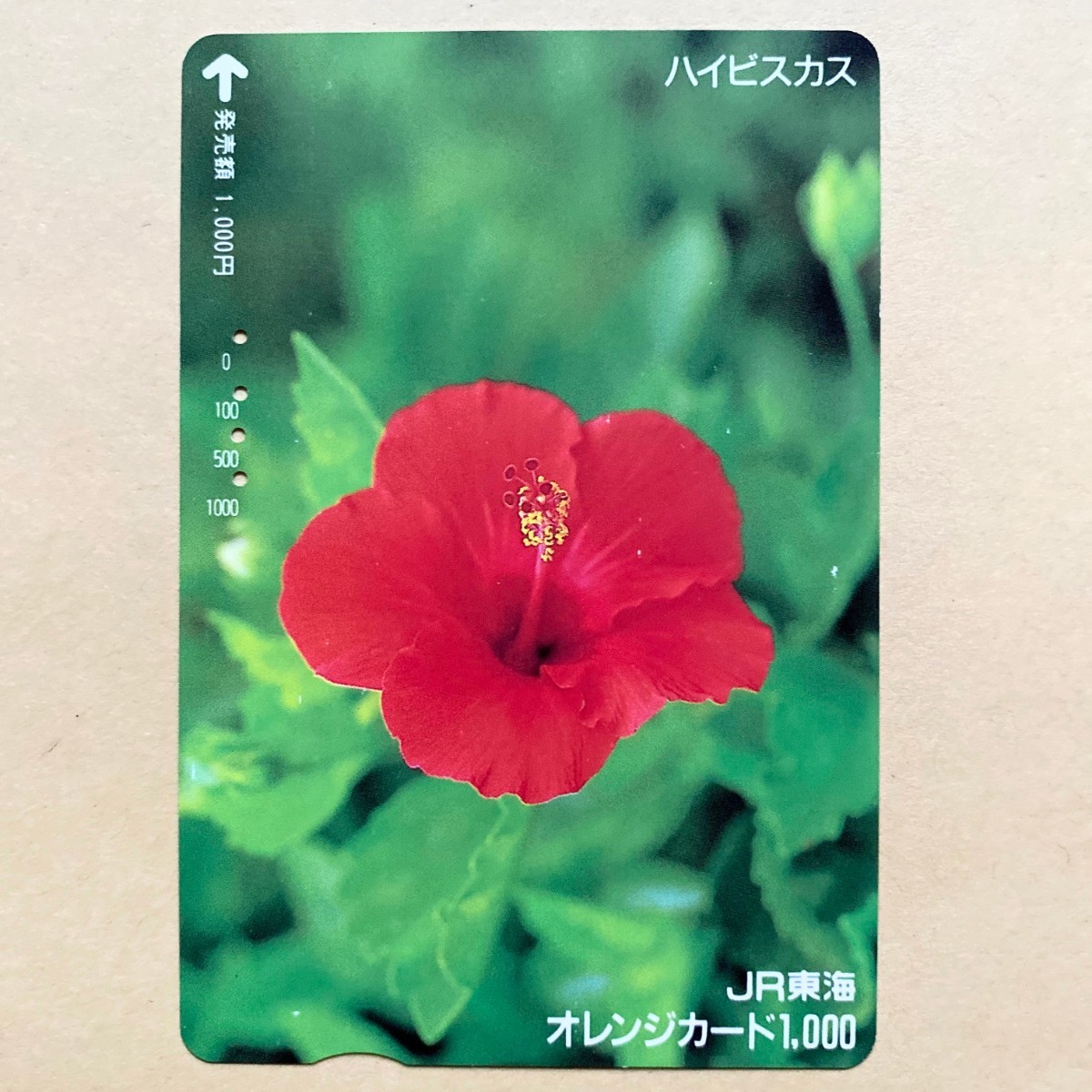 【使用済】 花オレンジカード JR東海 ハイビスカス拍卖