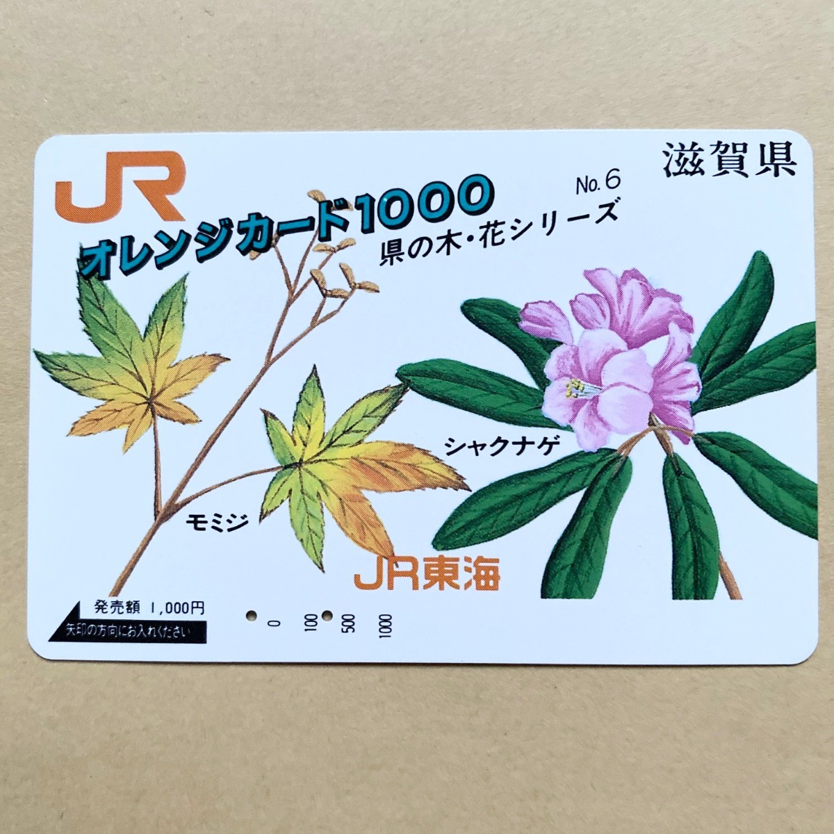 【使用済】 オレンジカード JR東海 県の木・花シリーズNo.6 滋賀県 モミジ シャクナゲ拍卖