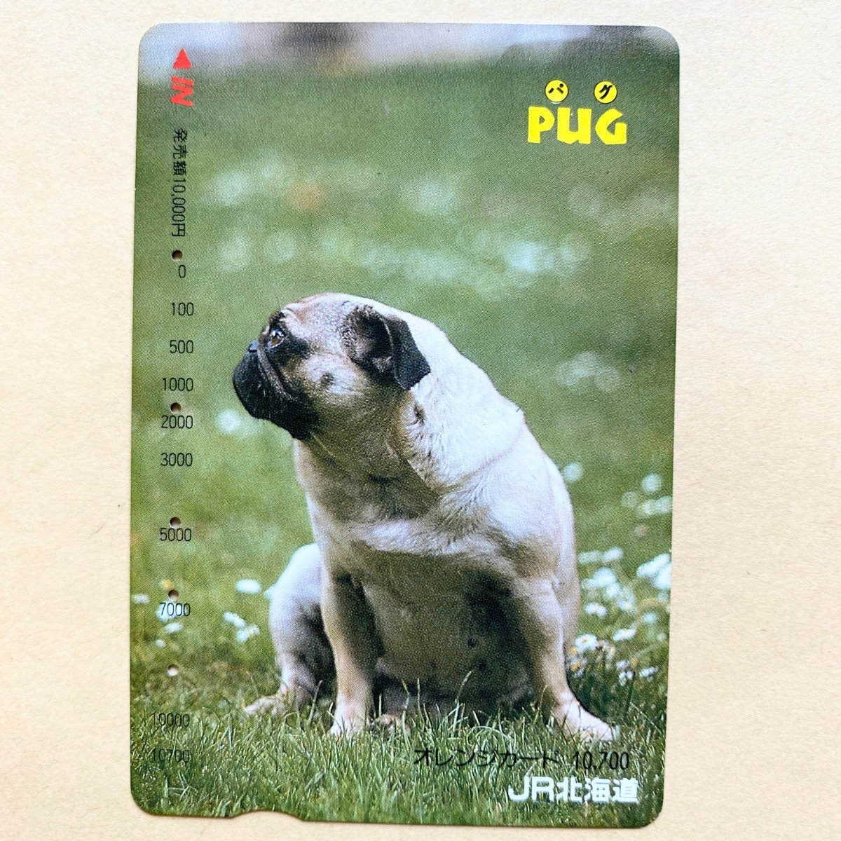 【使用済】 オレンジカード JR北海道 パグ拍卖