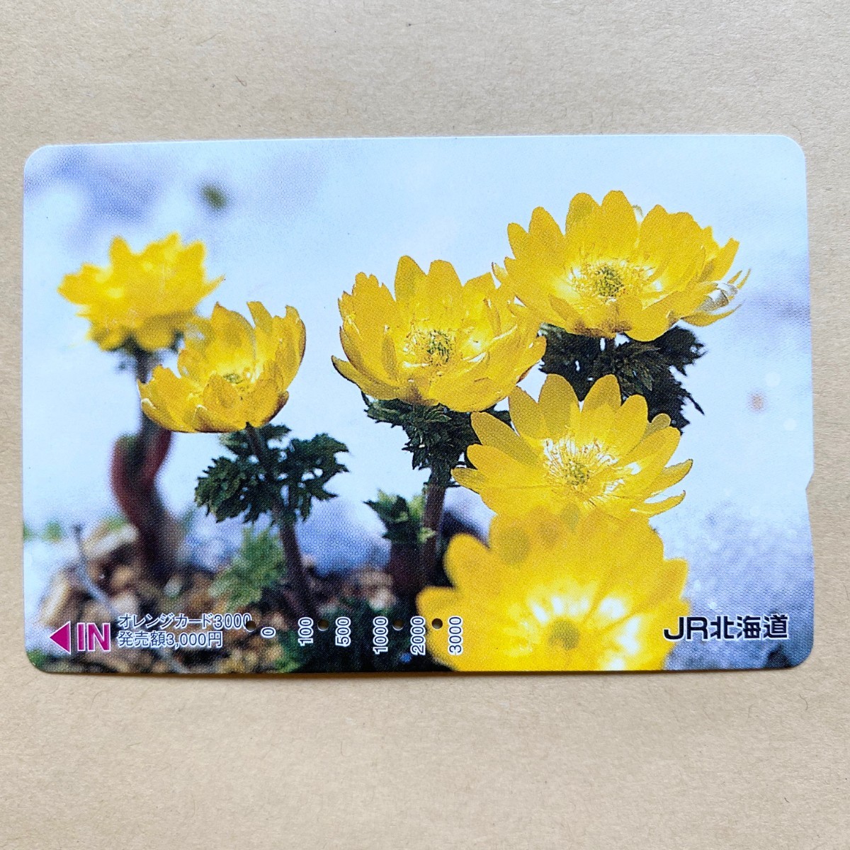 【使用済】 花オレンジカード JR北海道 フクジュソウ拍卖