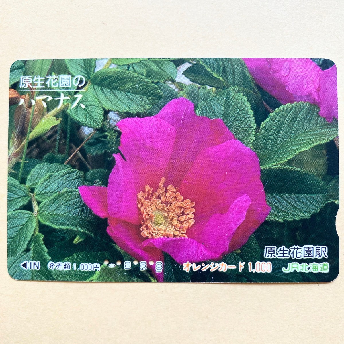 【使用済】 花オレンジカード JR北海道 原生花園のハマナス拍卖