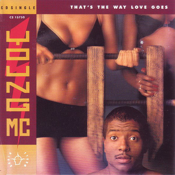Young MC「That's The Way Love Goes」(US盤CDS)拍卖