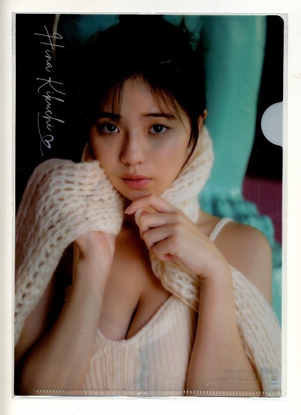 ヤングガンガン 2023年24号付録 菊地姫奈 クリアファイル拍卖