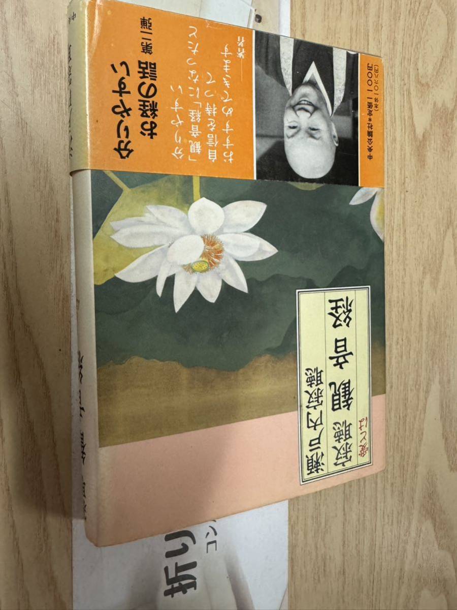 送料無料 瀬戸内寂聴 寂聴 観音経 愛とは拍卖