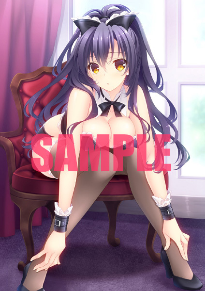 君と目覚める幾つかの方法/Navel ソフマップ特典タペストリー拍卖