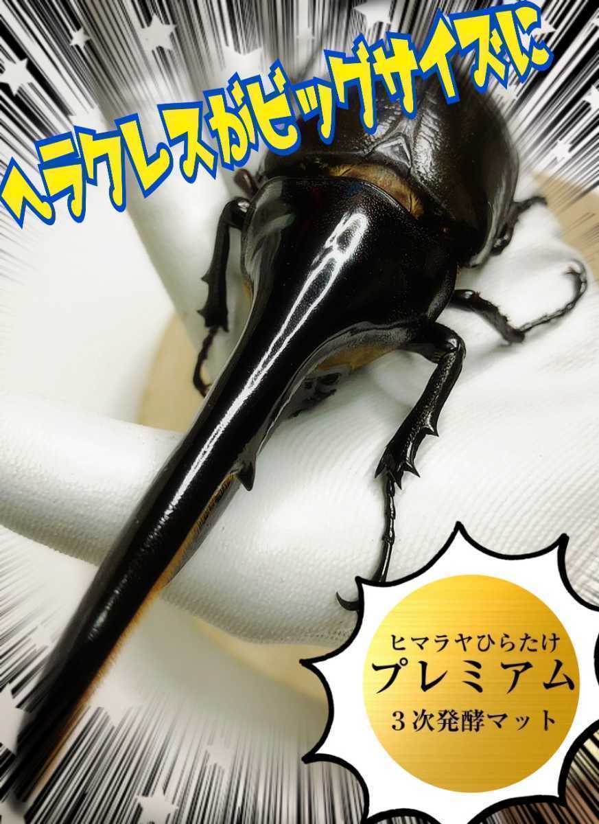 進化した!特選プレミアム3次発酵カブトムシマット【50L】微粒子☆特殊アミノ酸など栄養添加剤を3倍配合した究極のプロ仕様☆産卵にも抜群拍卖