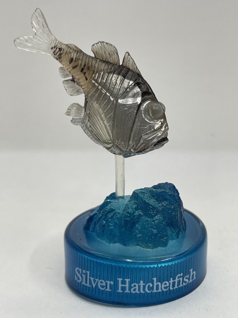 ■★Dydo MIU 深海生物フィギュアコレクション2 06 テンガンムネエソ(海洋堂)拍卖