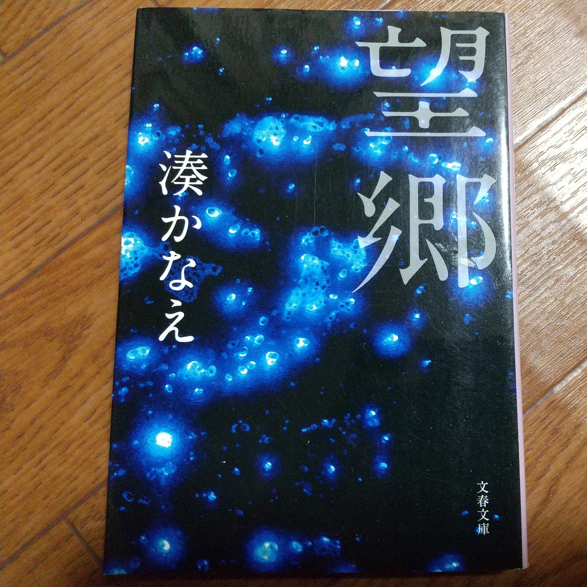 望郷 (文春文庫 み44-2) 湊かなえ/著拍卖