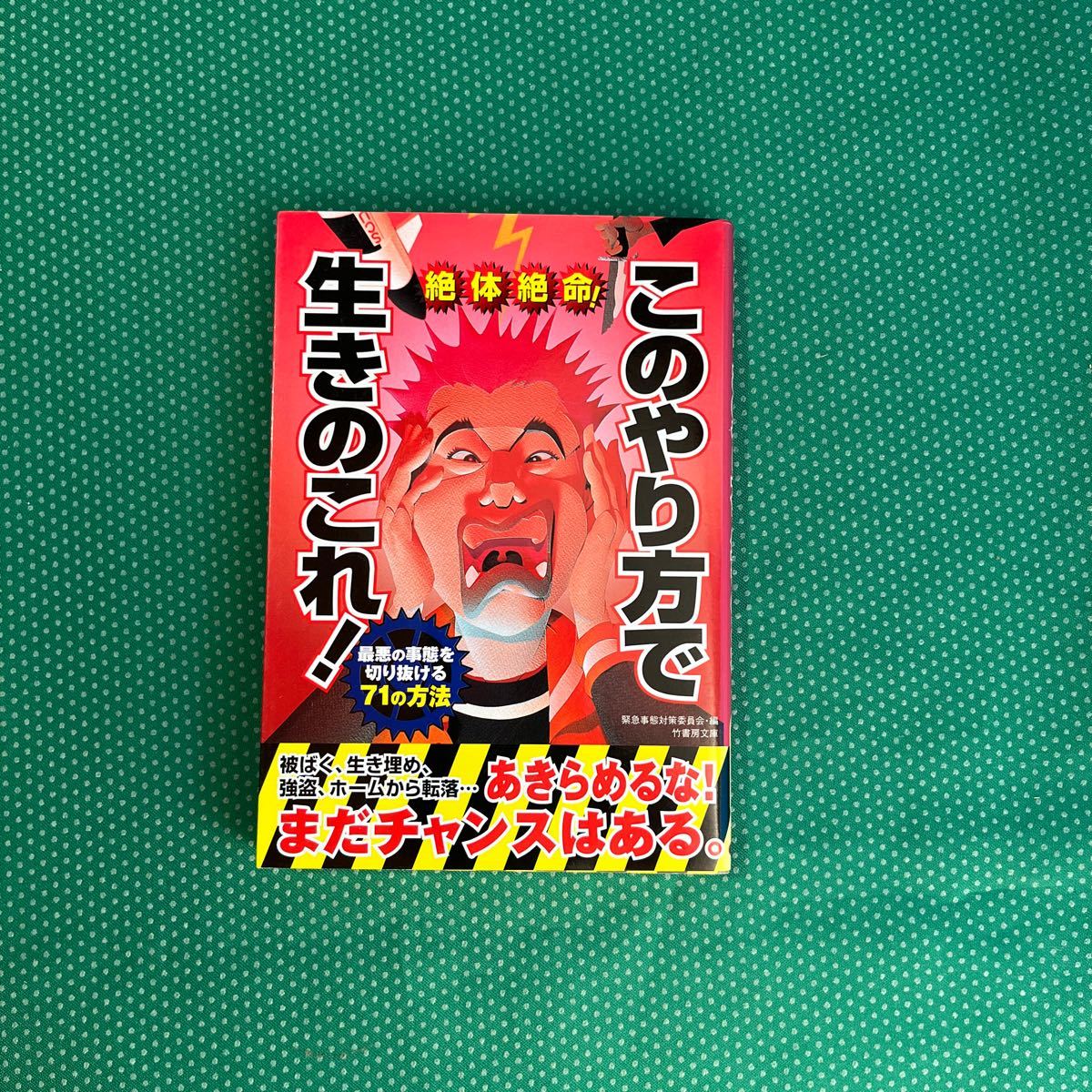 絶体絶命!このやり方で生きのこれ! 最悪の事態を切り抜ける71の方法 (竹書房文庫) 緊急事態対策委員会/編拍卖