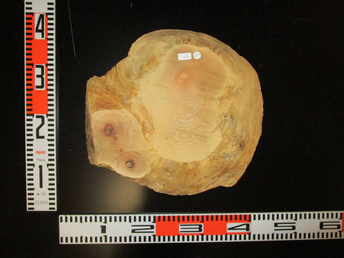 e8122107 欅●厚約6.6cm☆無垢板1枚板 木材 板 DIY 板材 天板 棚板 テーブル 看板 花台など種類豊富!拍卖