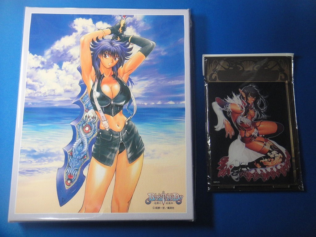 BASTARD!! バスタード カイ・ハーン キャンバスアート アーシェス・ネイ アクリルアートスタンド拍卖