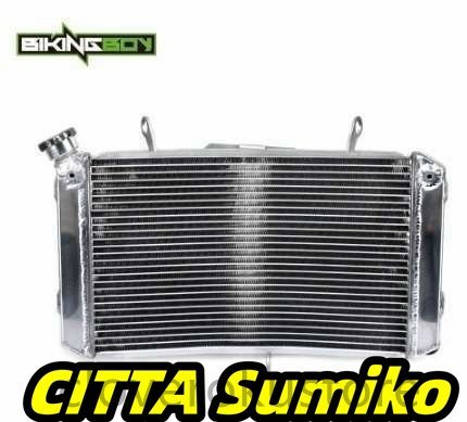 ヤマハFZ1 1000フェーザーFZS 1000 FZ1 1000 FZ1 N 1000 2006-2012 06-12エンジン水ラジエーター冷却ラジエーター拍卖