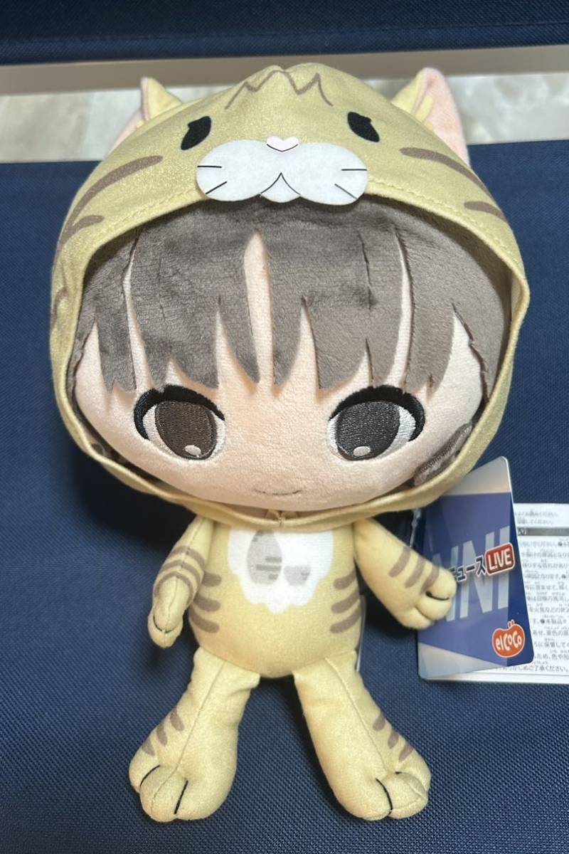新品・タグ付き【江川清音(えがわさやね)】ウェザーニュースLiVE ココぎゅっと!ぬいぐるみ ver.2 約20cm ナムコ限定拍卖
