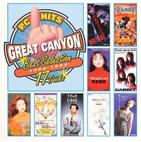 PCヒッツ グレートキャニオン ベスト・セレクション1990-1993拍卖