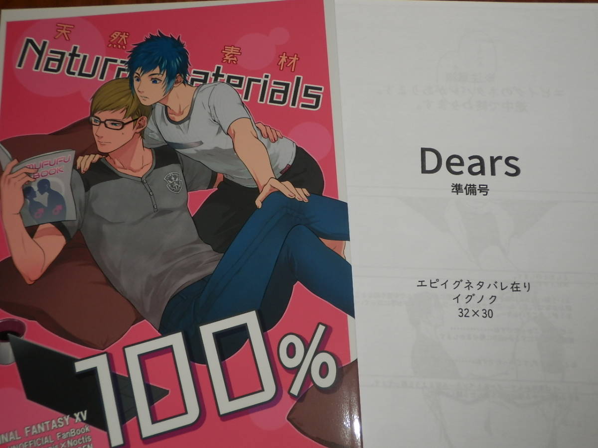 FF15 凍傷炎 天然素材100% Dears準備号 B5サイズ イグニス ノクト拍卖