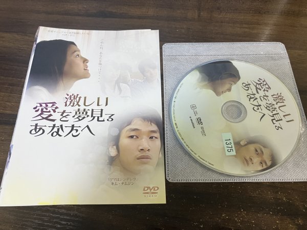 激しい愛を夢見るあなたへ DVD キム・ナムジン 即決 送料200円 116拍卖