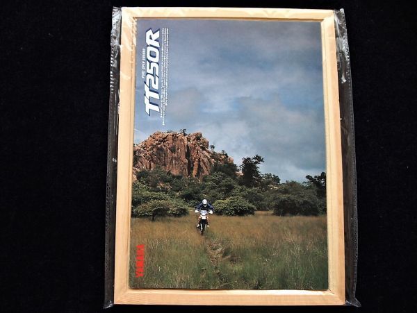 ヤマハ TT250R 初期型 1993年 カタログ美美品・送料込み!拍卖