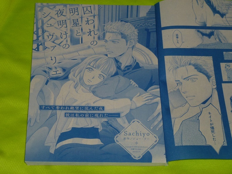 ★囚われの明星と夜明けのシュヴァリエ★Sachiyo★ハーレクイン2023Vol.14切抜★送料112円拍卖