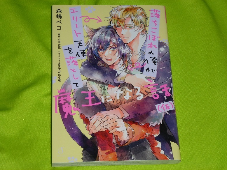★落ちこぼれの俺がエリート天使を落として魔王になる話(仮)★森嶋ペコ★送料112円拍卖