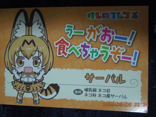 けものフレンズ ポストカード サーバル / イラストカード拍卖