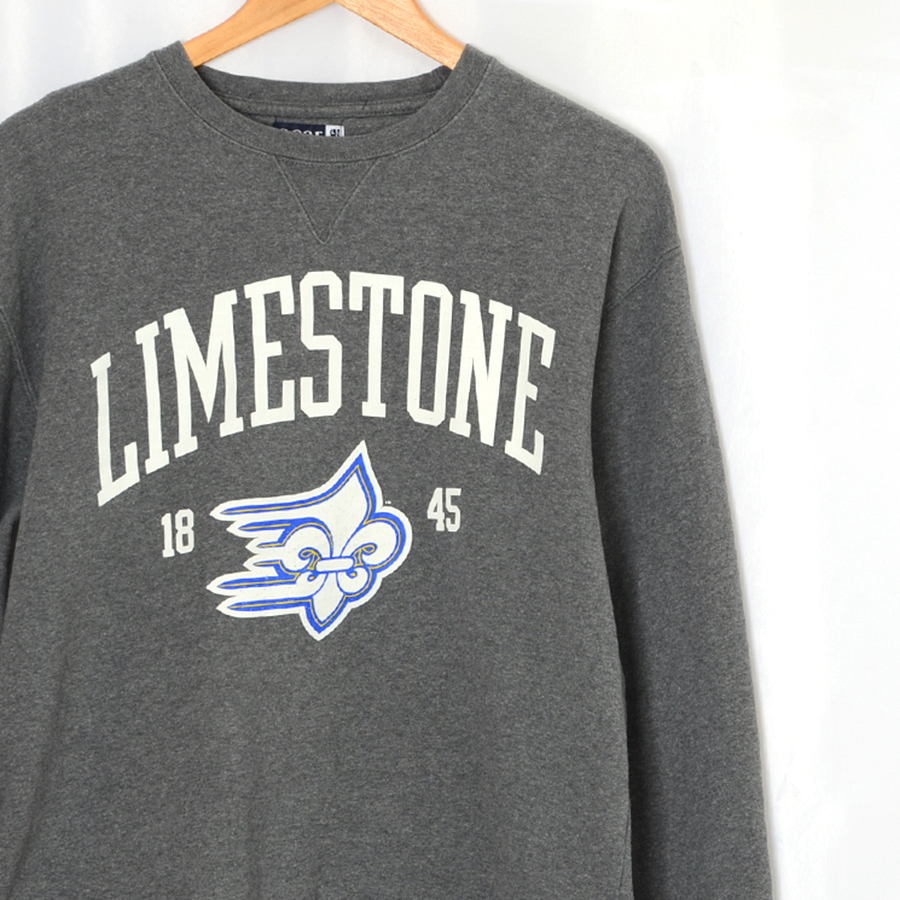 AD1062 ライムストーン大学 LIMESTONE 厚手 シャツ M 肩幅55 厚手 メール便不可 xq拍卖