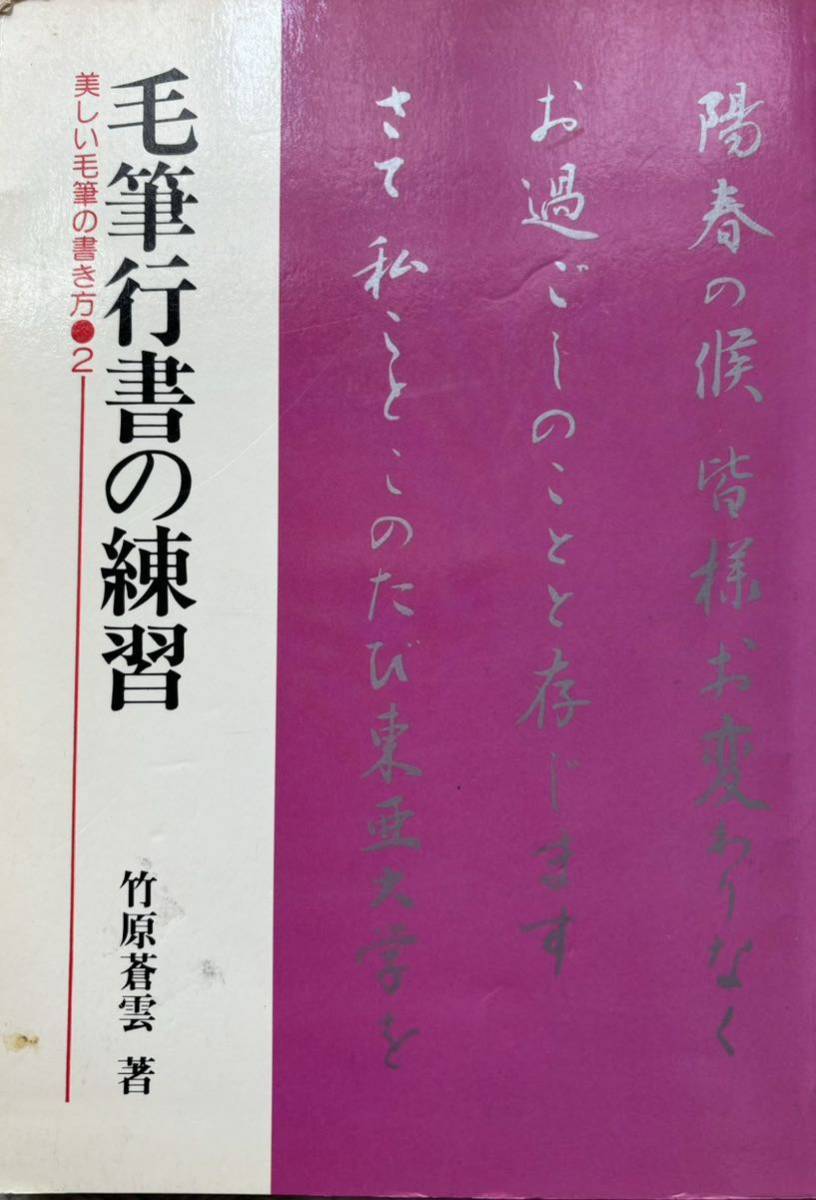 毛筆行書の練習拍卖