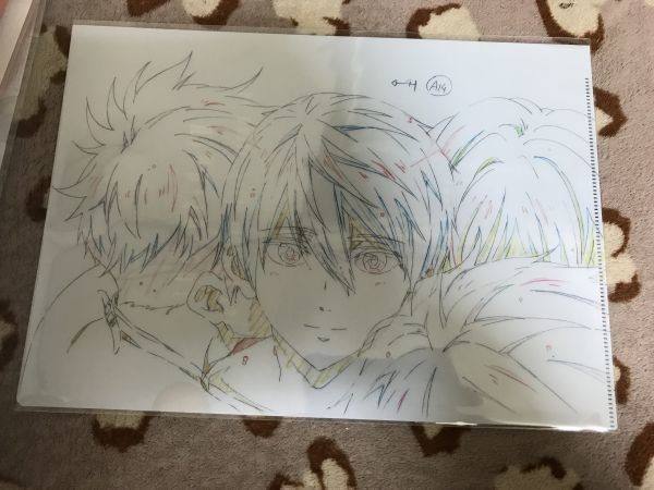 049クリアファイル Free! ハイ☆スピード 原画 京アニショップ!限定  遙 真琴 郁弥 旭 2拍卖