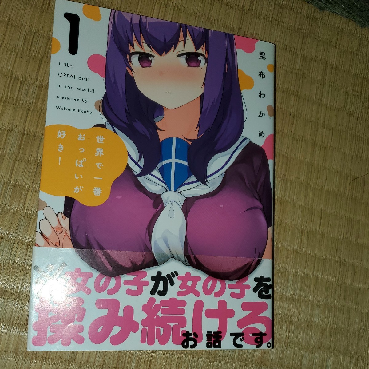 世界で一番おっぱいが好き!1~4巻(MFCキューンシリーズ) 昆布わかめ/著拍卖