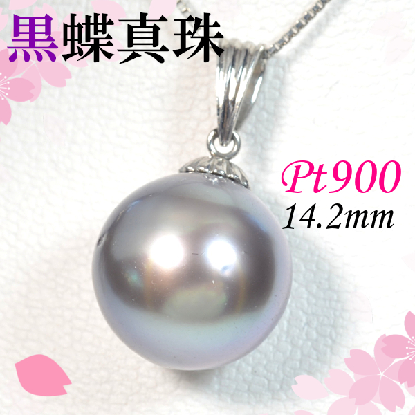 【早い者勝ち卸特価】【新品即決】Pt900 南洋黒蝶真珠 14.2mm ペンダント ネックレス トップ パール タヒチ プラチナ 6月誕生石 NCM144拍卖