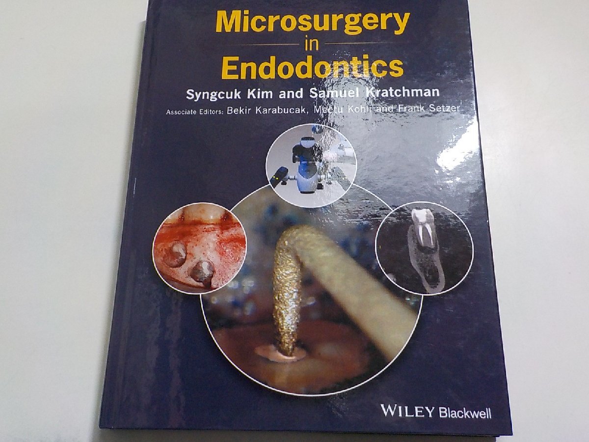 15V1883◆Microsurgery in Endodontics ハードカバー ? イラスト付き(ク)拍卖