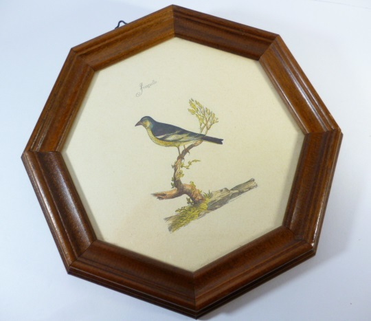 Й イタリア製 壁掛け 壁飾り Й ITARY ヴィンテージ 鳥 絵 画 額 フレーム 飾り bard拍卖