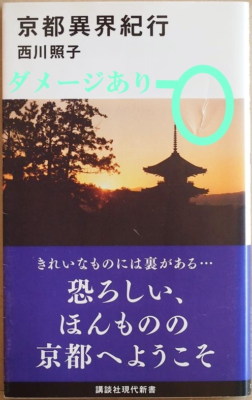 ★送料無料★ 京都異界紀行 霊に導かれ怨霊の声を頼りに京都の町中を歩く 聖と穢が繰り広げる怪しい京都の奥深く地下水脈に潜入 西川照子拍卖