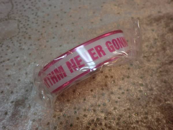 ☆布袋寅泰♪BEAT2 代々木 会場限定 完売 ピンクブレスレット拍卖