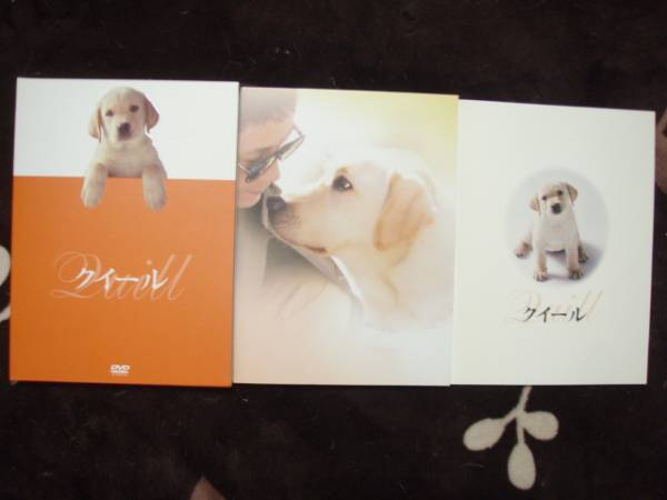 DVD クイール(DVD2枚組)拍卖