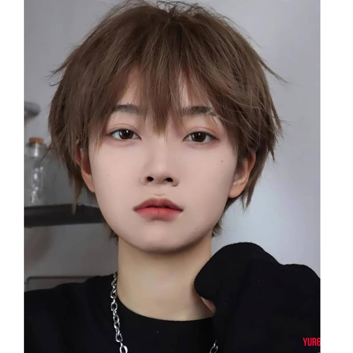 ショート タイプ ウィッグ フルウィッグ かつら メンズ レディース 耐熱ファイバー 快適 普段使い ユニセックス イベント クールブラウン拍卖